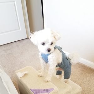 Meet your Posher, Ashlynn